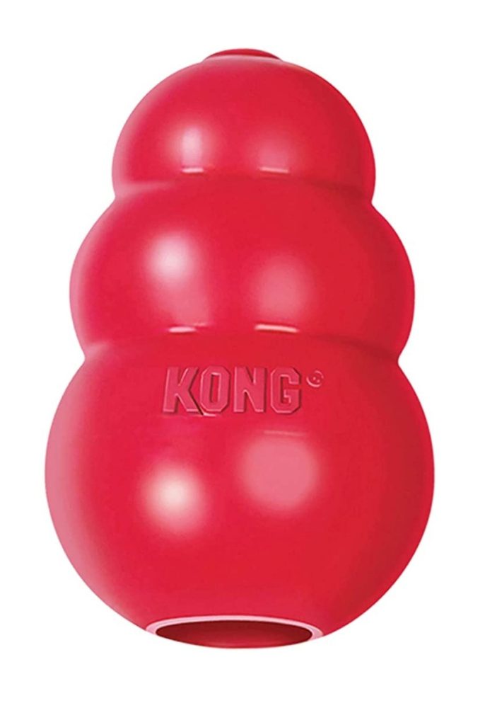 Kong toy