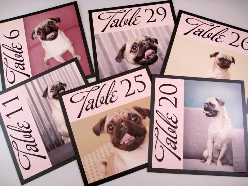 Wedding Day: Table Numbers