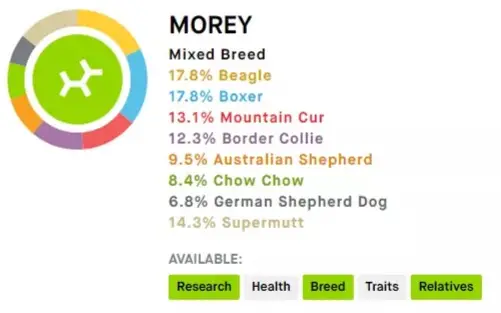 Mo's Embark DNA results