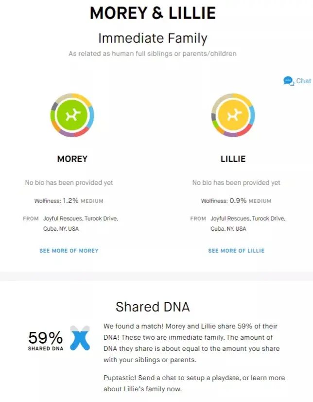 The Embark DNA Kit results!