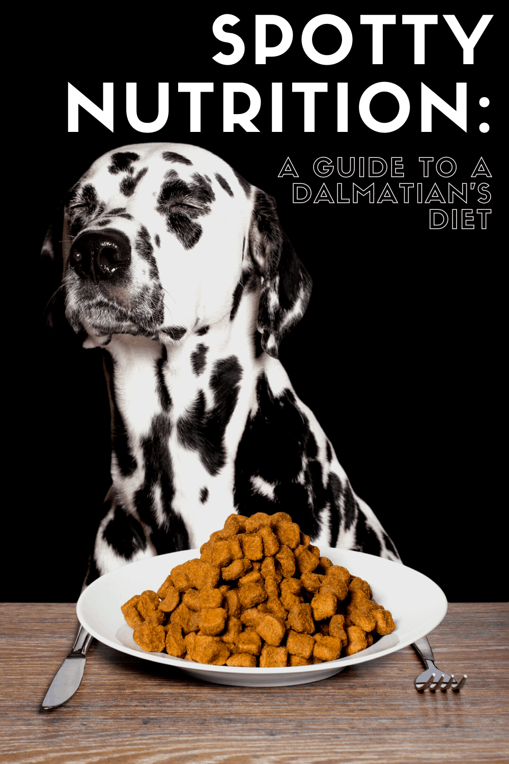 Food for dalmatians fashion