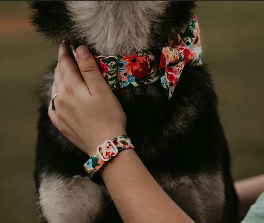 Matching collar and bracelet