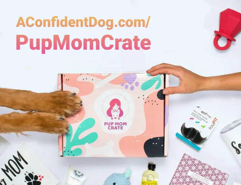 Pup Mom Crate subscription