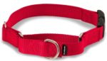 martingale collar