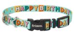 Birthday collar