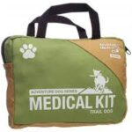 dog walker essentials: first aid kit